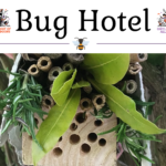 How to make a bug hotel