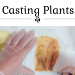 How to cast plants