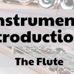 Instrument Intros: The Flute